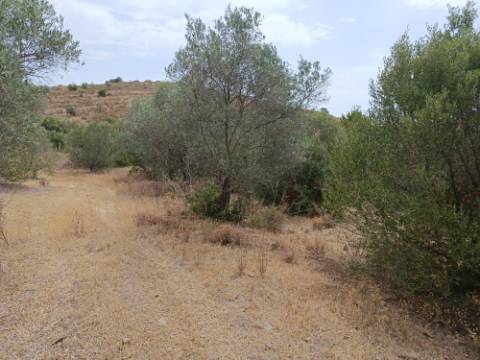TERRENO RUSTICO COM 640 M2 - PRÓXIMO AOS BALURCOS EM ALCOUTIM - ALGARVE