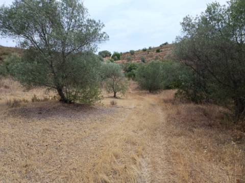 TERRENO RUSTICO COM 640 M2 - PRÓXIMO AOS BALURCOS EM ALCOUTIM - ALGARVE