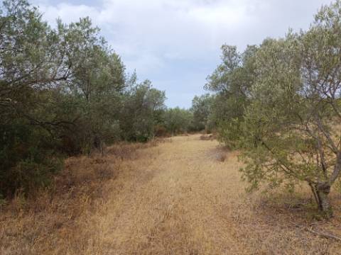 TERRENO RUSTICO COM 640 M2 - PRÓXIMO AOS BALURCOS EM ALCOUTIM - ALGARVE