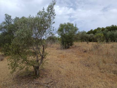 TERRENO RUSTICO COM 640 M2 - PRÓXIMO AOS BALURCOS EM ALCOUTIM - ALGARVE