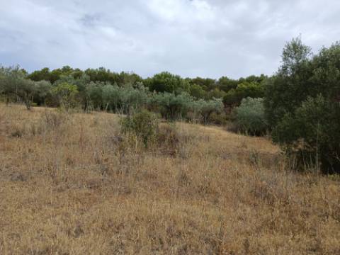 TERRENO RUSTICO COM 640 M2 - PRÓXIMO AOS BALURCOS EM ALCOUTIM - ALGARVE