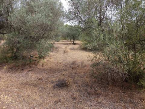 TERRENO RUSTICO COM 640 M2 - PRÓXIMO AOS BALURCOS EM ALCOUTIM - ALGARVE