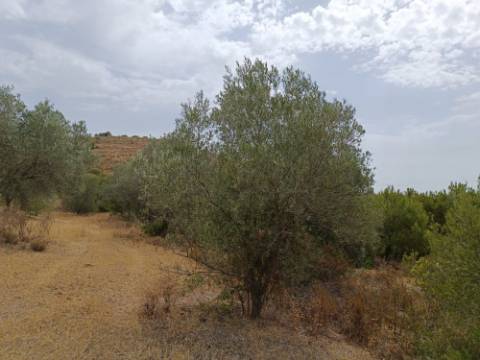 TERRENO RUSTICO COM 640 M2 - PRÓXIMO AOS BALURCOS EM ALCOUTIM - ALGARVE
