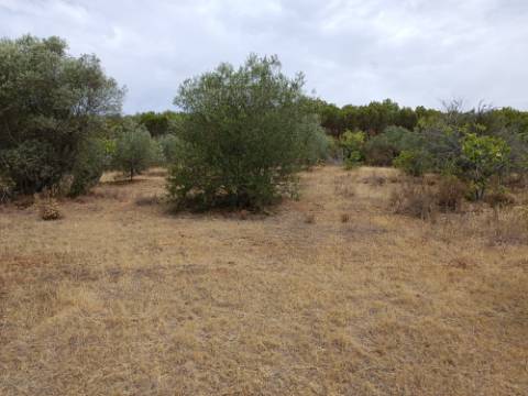 TERRENO RUSTICO COM 640 M2 - PRÓXIMO AOS BALURCOS EM ALCOUTIM - ALGARVE