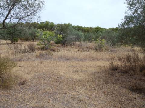 TERRENO RUSTICO COM 640 M2 - PRÓXIMO AOS BALURCOS EM ALCOUTIM - ALGARVE