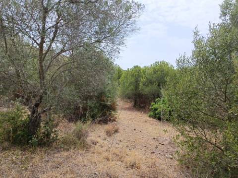 TERRENO RUSTICO COM 640 M2 - PRÓXIMO AOS BALURCOS EM ALCOUTIM - ALGARVE