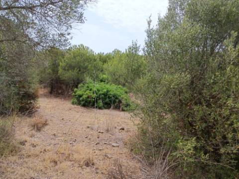 TERRENO RUSTICO COM 640 M2 - PRÓXIMO AOS BALURCOS EM ALCOUTIM - ALGARVE