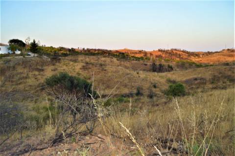 Terreno Rústico com 2,3ha em Vale das Eiras