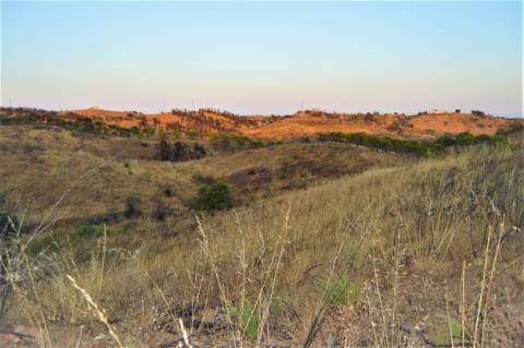 Terreno Rústico com 2,3ha em Vale das Eiras