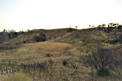 Terreno Rústico com 2,3ha em Vale das Eiras