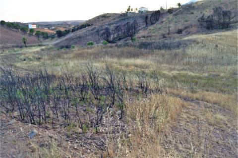 Terreno Rústico com 2,3ha em Vale das Eiras