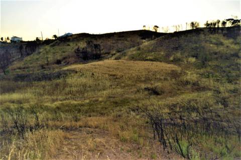 Terreno Rústico com 2,3ha em Vale das Eiras