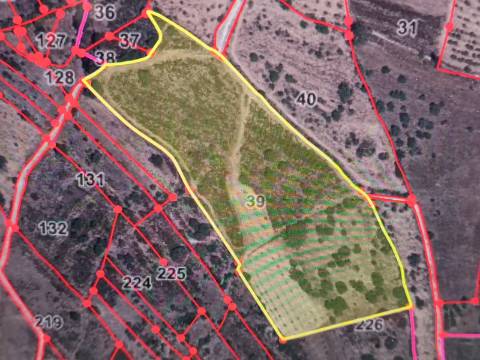 TERRENO COM 28.080 M2 - PLANO - COM POSSIBILIDADE DE CONSTRUIR ARMAZÉM AGRICOLA - CASA BRANCA - BALURCOS - ALCOUTIM - ALGARVE