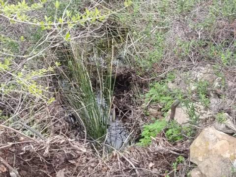 TERRENO COM 28.080 M2 - PLANO - COM POSSIBILIDADE DE CONSTRUIR ARMAZÉM AGRICOLA - CASA BRANCA - BALURCOS - ALCOUTIM - ALGARVE