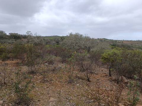 TERRENO COM 28.080 M2 - PLANO - COM POSSIBILIDADE DE CONSTRUIR ARMAZÉM AGRICOLA - CASA BRANCA - BALURCOS - ALCOUTIM - ALGARVE