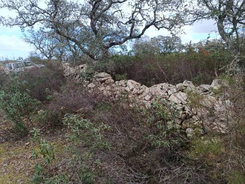 TERRENO COM 28.080 M2 - PLANO - COM POSSIBILIDADE DE CONSTRUIR ARMAZÉM AGRICOLA - CASA BRANCA - BALURCOS - ALCOUTIM - ALGARVE
