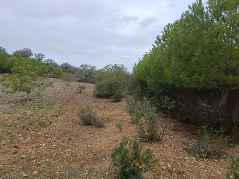 TERRENO COM 28.080 M2 - PLANO - COM POSSIBILIDADE DE CONSTRUIR ARMAZÉM AGRICOLA - CASA BRANCA - BALURCOS - ALCOUTIM - ALGARVE