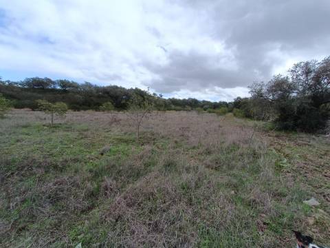 TERRENO COM 28.080 M2 - PLANO - COM POSSIBILIDADE DE CONSTRUIR ARMAZÉM AGRICOLA - CASA BRANCA - BALURCOS - ALCOUTIM - ALGARVE