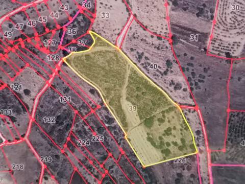 TERRENO COM 28.080 M2 - PLANO - COM POSSIBILIDADE DE CONSTRUIR ARMAZÉM AGRICOLA - CASA BRANCA - BALURCOS - ALCOUTIM - ALGARVE