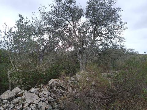 TERRENO COM 28.080 M2 - PLANO - COM POSSIBILIDADE DE CONSTRUIR ARMAZÉM AGRICOLA - CASA BRANCA - BALURCOS - ALCOUTIM - ALGARVE