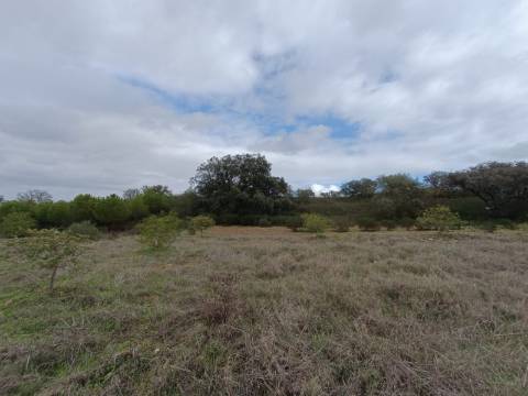 TERRENO COM 28.080 M2 - PLANO - COM POSSIBILIDADE DE CONSTRUIR ARMAZÉM AGRICOLA - CASA BRANCA - BALURCOS - ALCOUTIM - ALGARVE