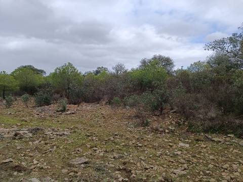 TERRENO COM 28.080 M2 - PLANO - COM POSSIBILIDADE DE CONSTRUIR ARMAZÉM AGRICOLA - CASA BRANCA - BALURCOS - ALCOUTIM - ALGARVE