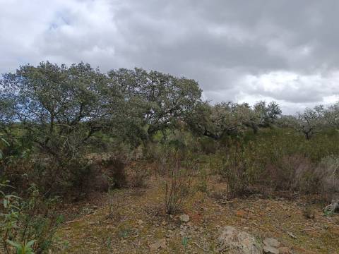 TERRENO COM 28.080 M2 - PLANO - COM POSSIBILIDADE DE CONSTRUIR ARMAZÉM AGRICOLA - CASA BRANCA - BALURCOS - ALCOUTIM - ALGARVE