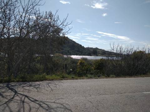 TERRENO COM 9.240 M2 COM FURO E ELETRICIDADE - JUNTO A FOZ E RIO GUADIANA - FOZ DE ODELEITE - ALGARVE