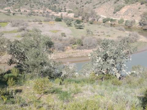 TERRENO COM 9.240 M2 COM FURO E ELETRICIDADE - JUNTO A FOZ E RIO GUADIANA - FOZ DE ODELEITE - ALGARVE