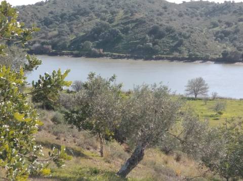 TERRENO COM 9.240 M2 COM FURO E ELETRICIDADE - JUNTO A FOZ E RIO GUADIANA - FOZ DE ODELEITE - ALGARVE