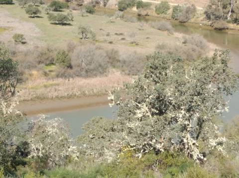TERRENO COM 9.240 M2 COM FURO E ELETRICIDADE - JUNTO A FOZ E RIO GUADIANA - FOZ DE ODELEITE - ALGARVE