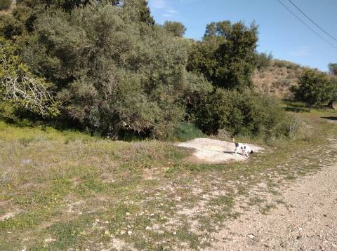 TERRENO COM 9.240 M2 COM FURO E ELETRICIDADE - JUNTO A FOZ E RIO GUADIANA - FOZ DE ODELEITE - ALGARVE