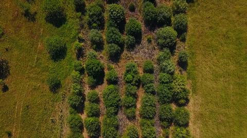 TERRENO COM 9.240 M2 COM FURO E ELETRICIDADE - JUNTO A FOZ E RIO GUADIANA - FOZ DE ODELEITE - ALGARVE