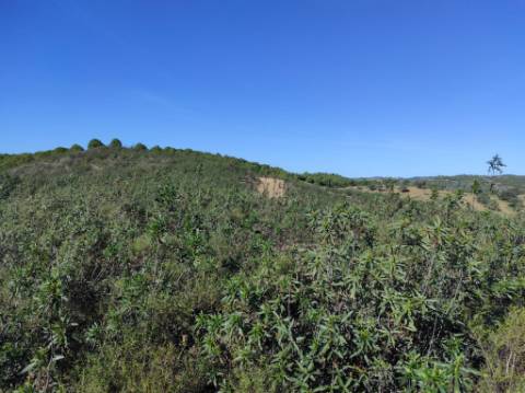 TERRENO COM 7.640 M2 - JUNTO AO LAGO COM DUAS FRENTES NA ÁGUA - ALCARIAS GRANDES - CASTRO MARIM - ALGARVE