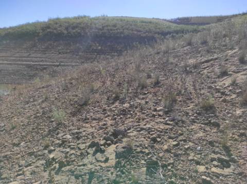 TERRENO COM 7.640 M2 - JUNTO AO LAGO COM DUAS FRENTES NA ÁGUA - ALCARIAS GRANDES - CASTRO MARIM - ALGARVE