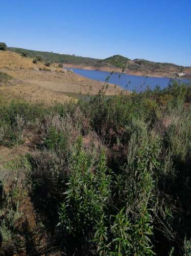 TERRENO COM 7.640 M2 - JUNTO AO LAGO COM DUAS FRENTES NA ÁGUA - ALCARIAS GRANDES - CASTRO MARIM - ALGARVE