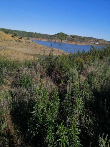 TERRENO COM 7.640 M2 - JUNTO AO LAGO COM DUAS FRENTES NA ÁGUA - ALCARIAS GRANDES - CASTRO MARIM - ALGARVE
