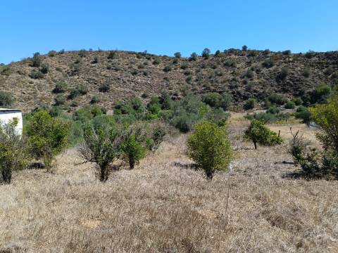 TERRENO RUSTICO COM 1.680 M2 EM FORTES - ODELEITE - CASTRO MARIM - ALGARVE