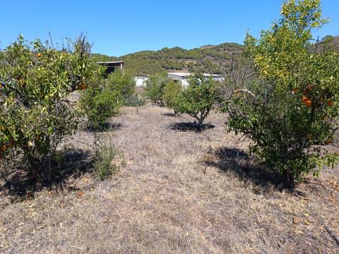 TERRENO RUSTICO COM 1.680 M2 EM FORTES - ODELEITE - CASTRO MARIM - ALGARVE