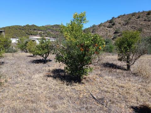 TERRENO RUSTICO COM 1.680 M2 EM FORTES - ODELEITE - CASTRO MARIM - ALGARVE