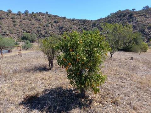 TERRENO RUSTICO COM 1.680 M2 EM FORTES - ODELEITE - CASTRO MARIM - ALGARVE