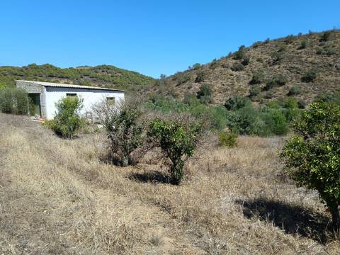 TERRENO RUSTICO COM 1.680 M2 EM FORTES - ODELEITE - CASTRO MARIM - ALGARVE
