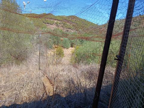 TERRENO RUSTICO COM 1.680 M2 EM FORTES - ODELEITE - CASTRO MARIM - ALGARVE