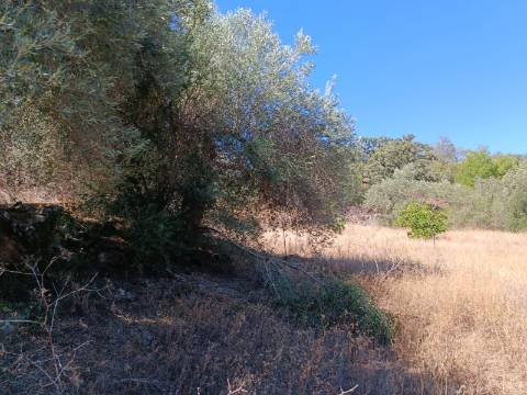 TERRENO RUSTICO COM 1.680 M2 EM FORTES - ODELEITE - CASTRO MARIM - ALGARVE