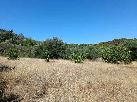 TERRENO RUSTICO COM 1.680 M2 EM FORTES - ODELEITE - CASTRO MARIM - ALGARVE