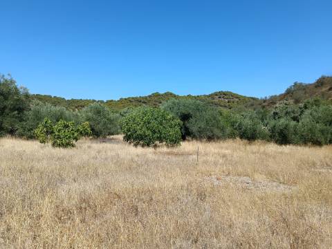 TERRENO RUSTICO COM 1.680 M2 EM FORTES - ODELEITE - CASTRO MARIM - ALGARVE