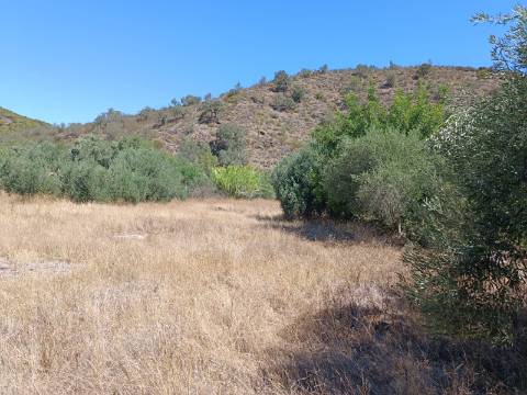 TERRENO RUSTICO COM 1.680 M2 EM FORTES - ODELEITE - CASTRO MARIM - ALGARVE