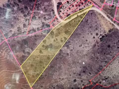 TERRENO RUSTICO COM 10.320 M2 PRÓXIMO A ALMADA D'OURO EM CASTRO MARIM - ALGARVE