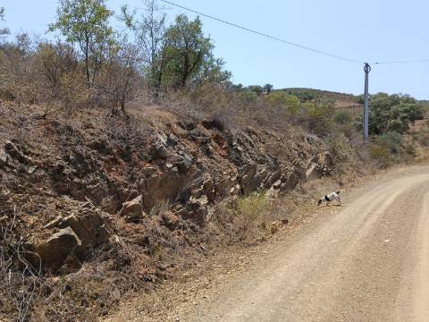 TERRENO RUSTICO COM 10.320 M2 PRÓXIMO A ALMADA D'OURO EM CASTRO MARIM - ALGARVE