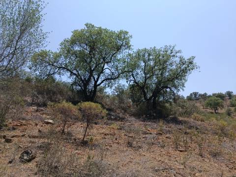 TERRENO RUSTICO COM 10.320 M2 PRÓXIMO A ALMADA D'OURO EM CASTRO MARIM - ALGARVE